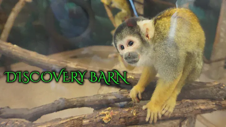 Discovery Barn | Kansas City Zoo