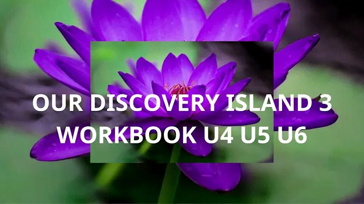 OUR DISCOVERY ISLAND 3 WORKBOOK UNIT4+ UNIT 5+ UNIT 6