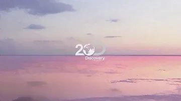 Любопытство заводит далеко | Discovery 20 лет в России | Discovery Channel