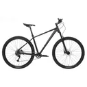 Stinger Discovery D 24