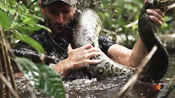 Eaten Alive Sneak Peek | Sun Dec 7 9/8c on Discovery