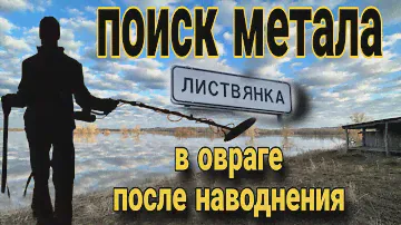 Поиск метала с металоискателем  Discovery Bounty Hunter 2200.