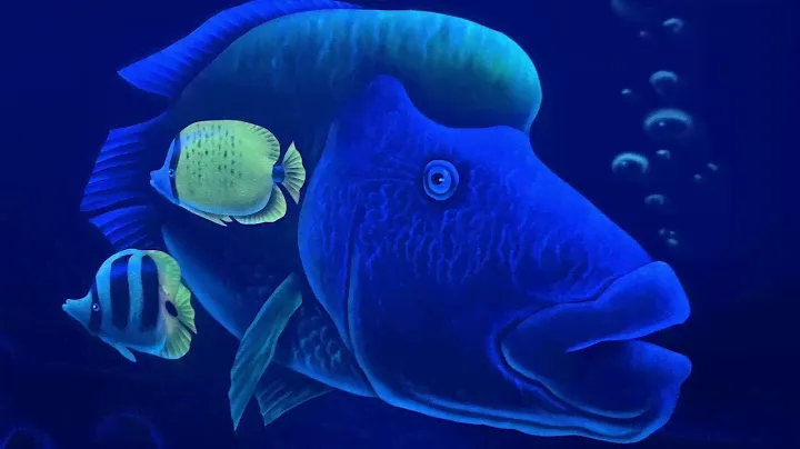 Океанариум Сочи (Sochi Discovery World Aquarium) 🔱🐟🐠🐡🦈
