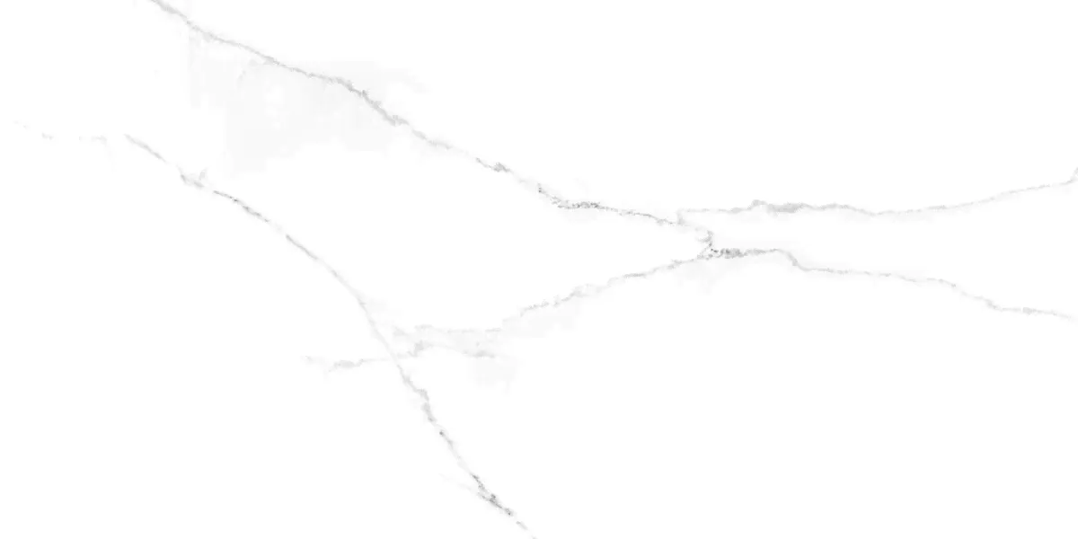 Discovery Blanco Белый Полированный Керамогранит 59,5x119,1