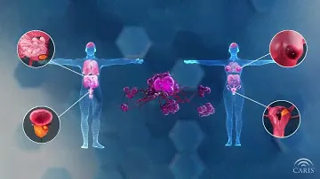 Homologous Recombination Deficiency | Central Principles of Molecular Biology