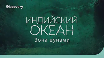 Индийский океан: зона цунами | На дне океана | Discovery