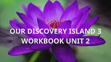 OUR DISCOVERY ISLAND 3 WORKBOOK UNIT 2