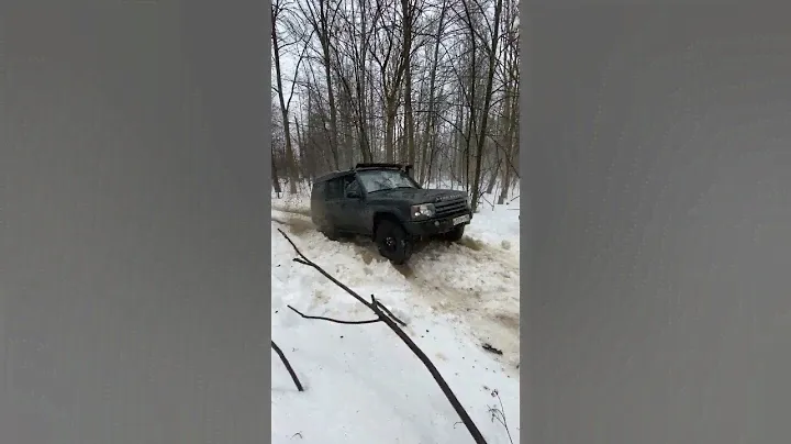 Land rover Discovery 2, tires Bridgestone blizzak 33'