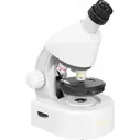 Микроскоп LEVENHUK DISCOVERY MICRO POLAR с книгой 77952