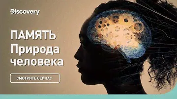 Память | Природа человека | Discovery