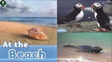 Oxford Read and Discover Level 1 AT THE BEACH