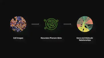 Generative AI for Drug Discovery and Design