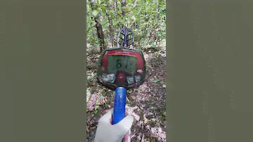 Реагирует на воздух в лесу Bounty Hunter Discovery 1100